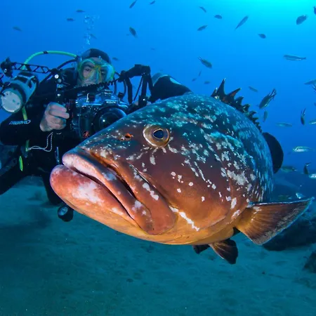 Апарт-отель Costa Volcan &