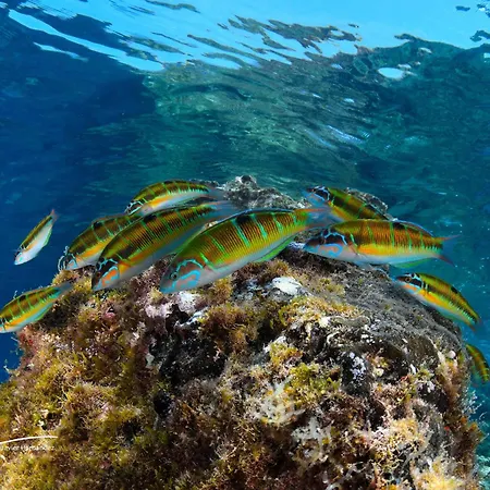 Costa Volcan & Апарт-отель 2*