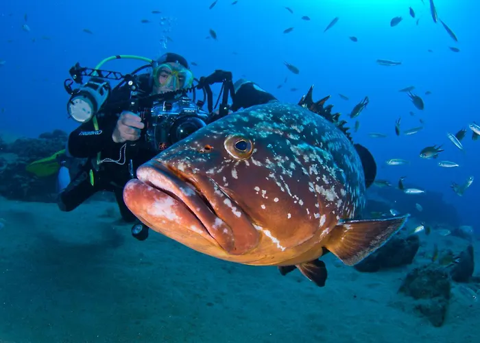 Apartmanhotel Costa Volcán&spa