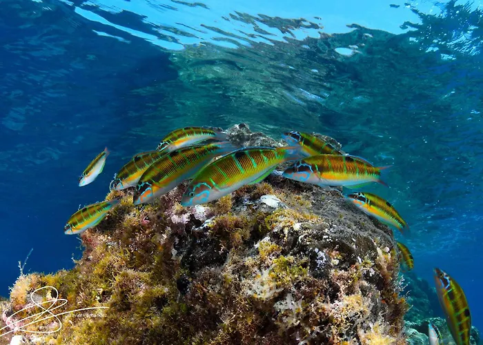 Costa Volcán&spa Apartmanhotel 2*